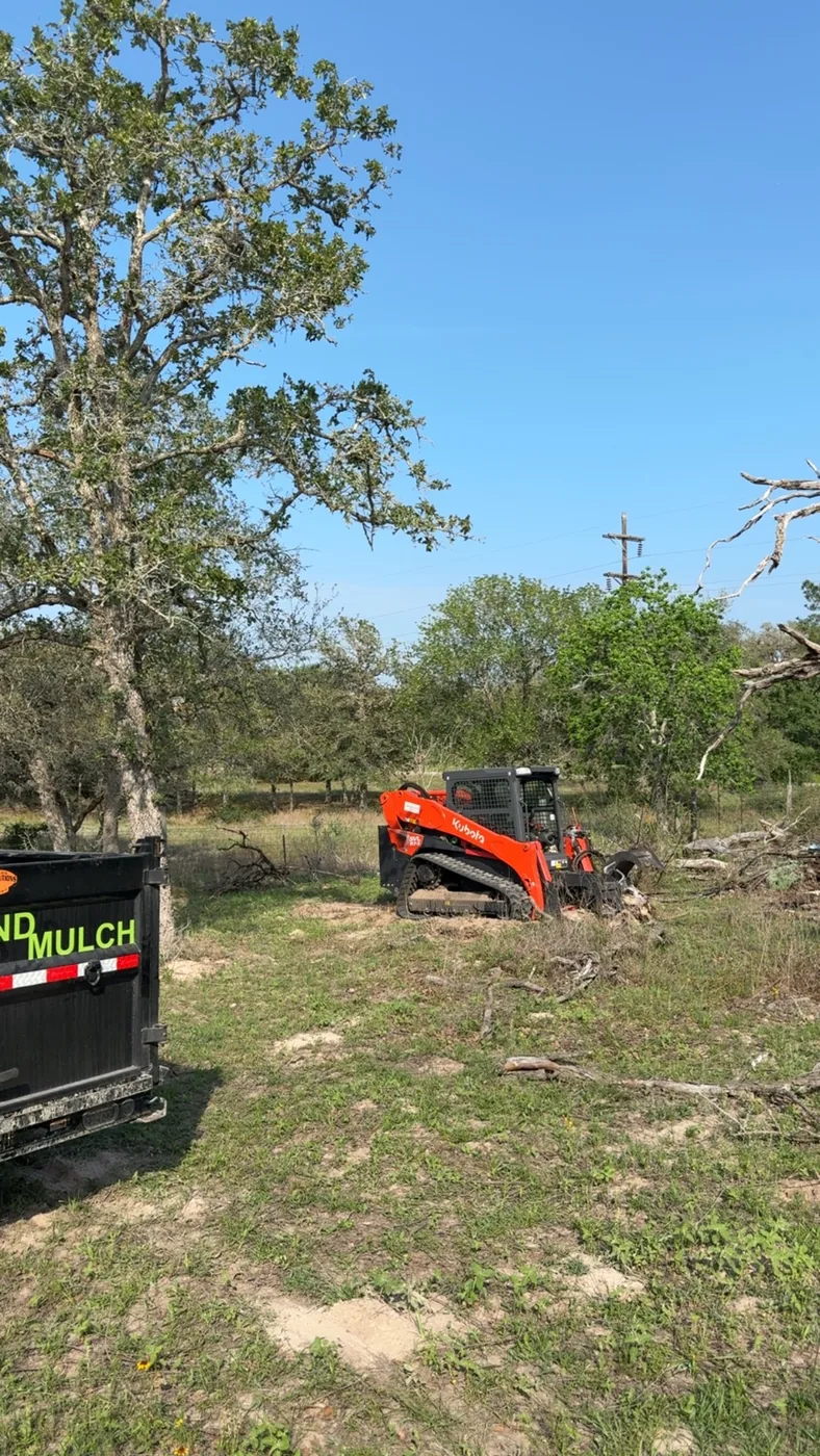 Skid steer clearing land