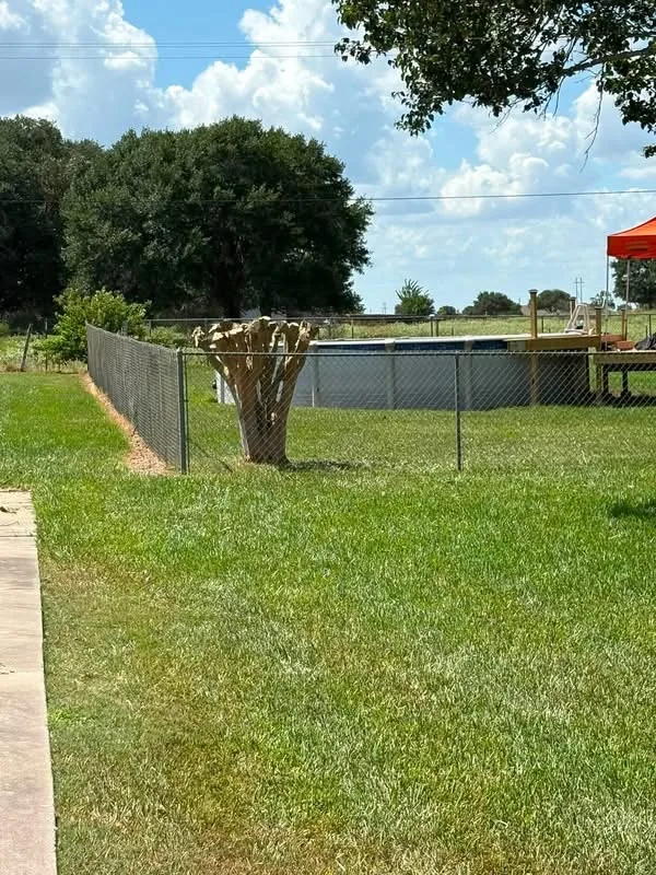 Yard after tree trimming